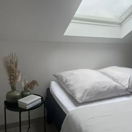 Apartment Luxury Marz Schwanau